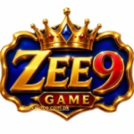 zee9-game